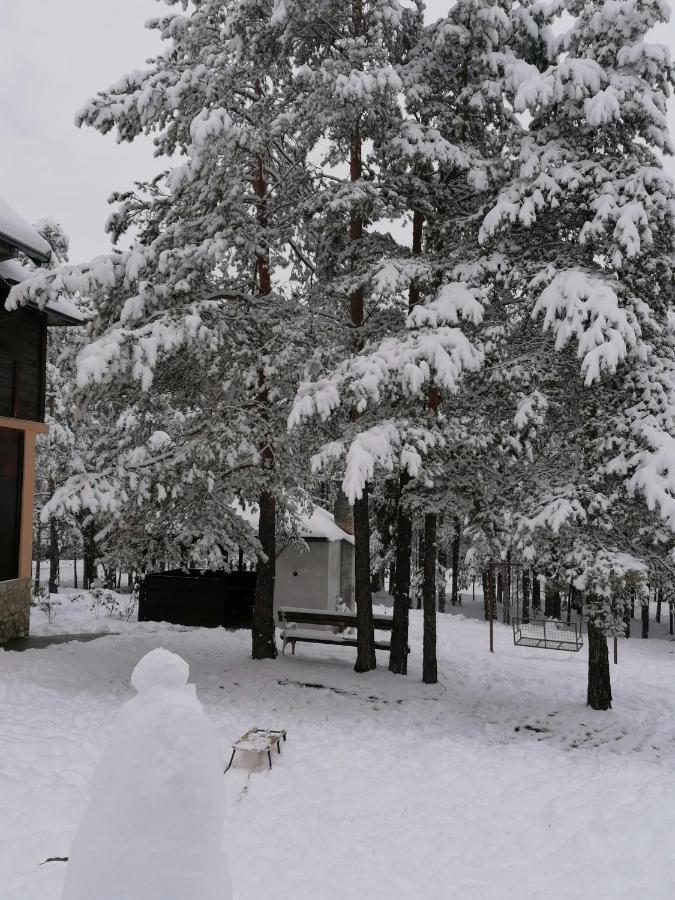 Tara Bozic Apartmani Kaludjerske Bare Dış mekan fotoğraf