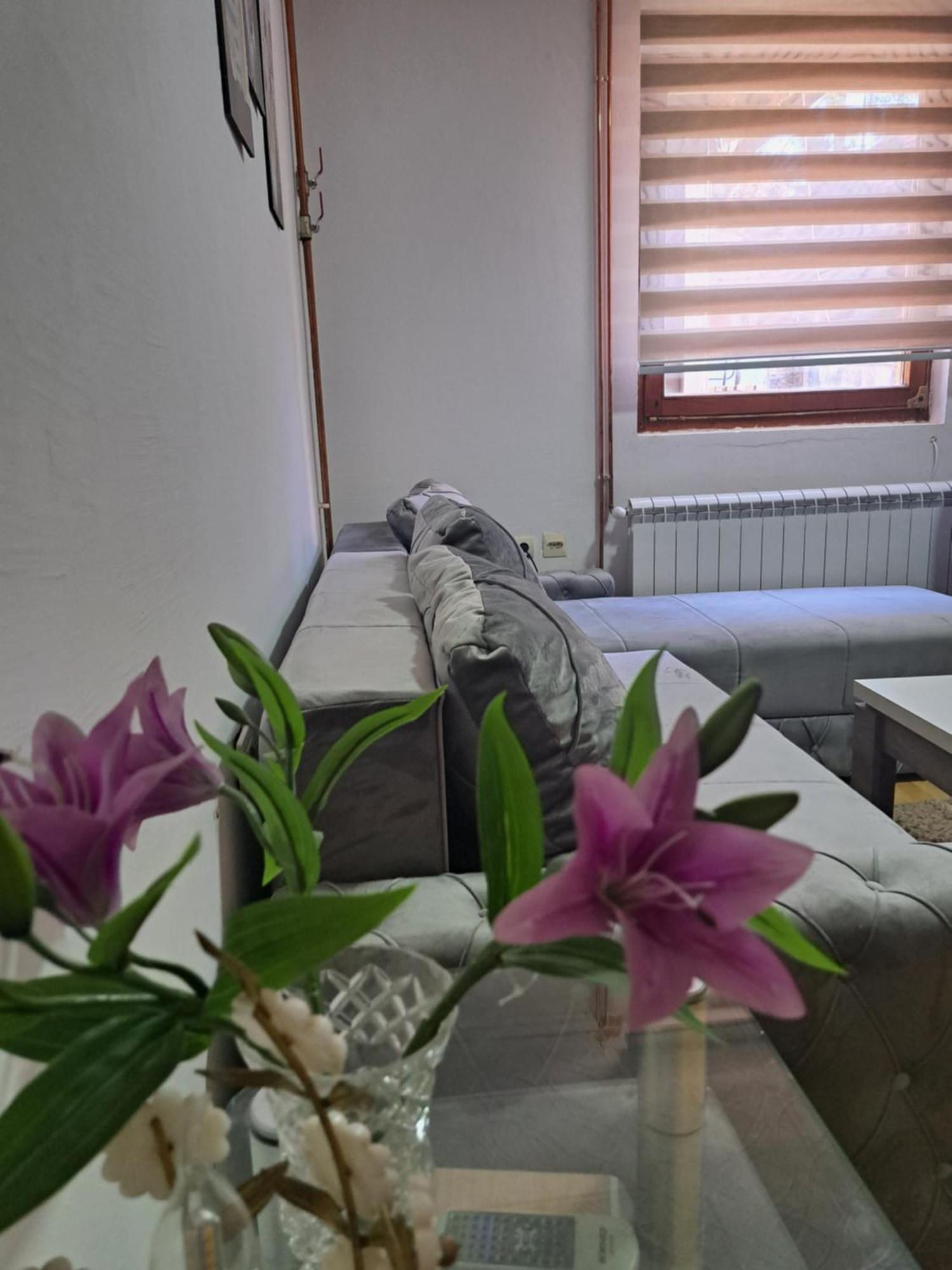 Tara Bozic Apartmani Kaludjerske Bare Dış mekan fotoğraf